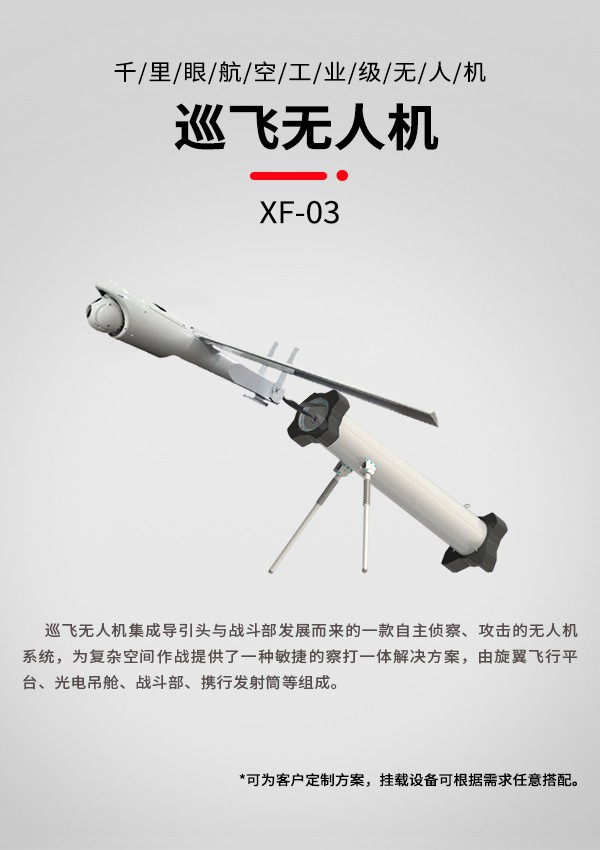 巡飛無人機(jī)xf03型(圖1)