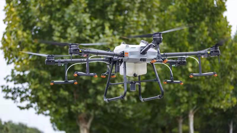 無人機(jī)消殺美國白蛾 防止蛾蛹入土越冬(圖1)